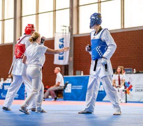 Taekwondo day 3: Male's competition is finished! We have new champions!